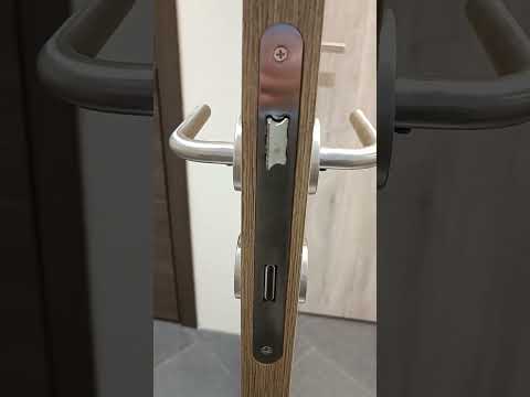 Bloc- porte âme tubulaire L 780 mm realw oak 2 panel 201.5 cm