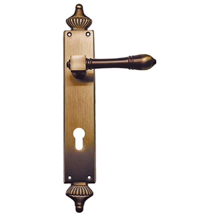 Deurkruk pro capri brons deurschild met cilinder