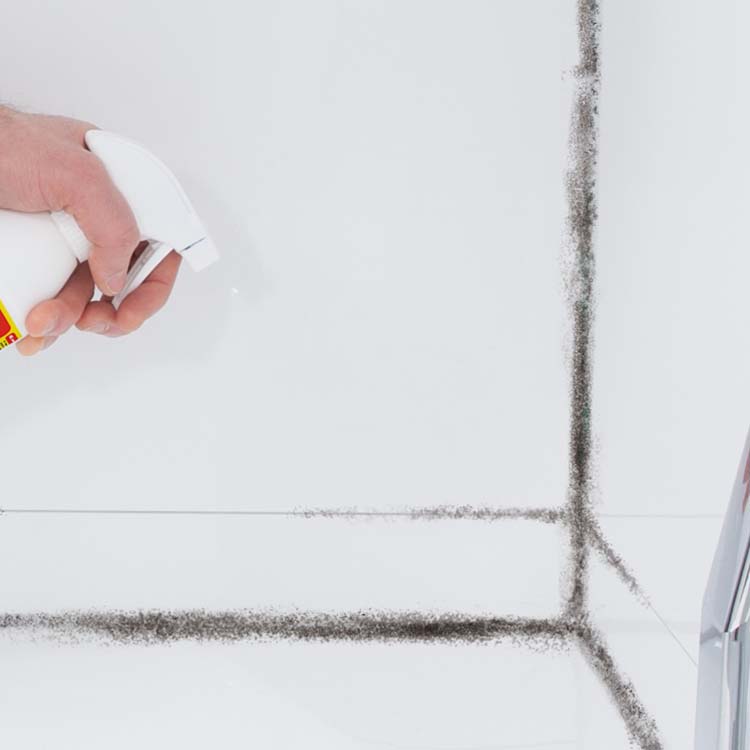 HG HG destructeur de moississures foamspray