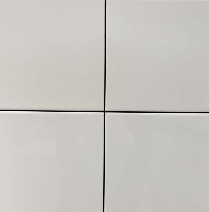 Carrelage mural Cleo blanc mat 20x20cm
