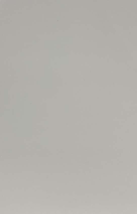 Carrelage mural Lore blanc brillant rt 30x60cm