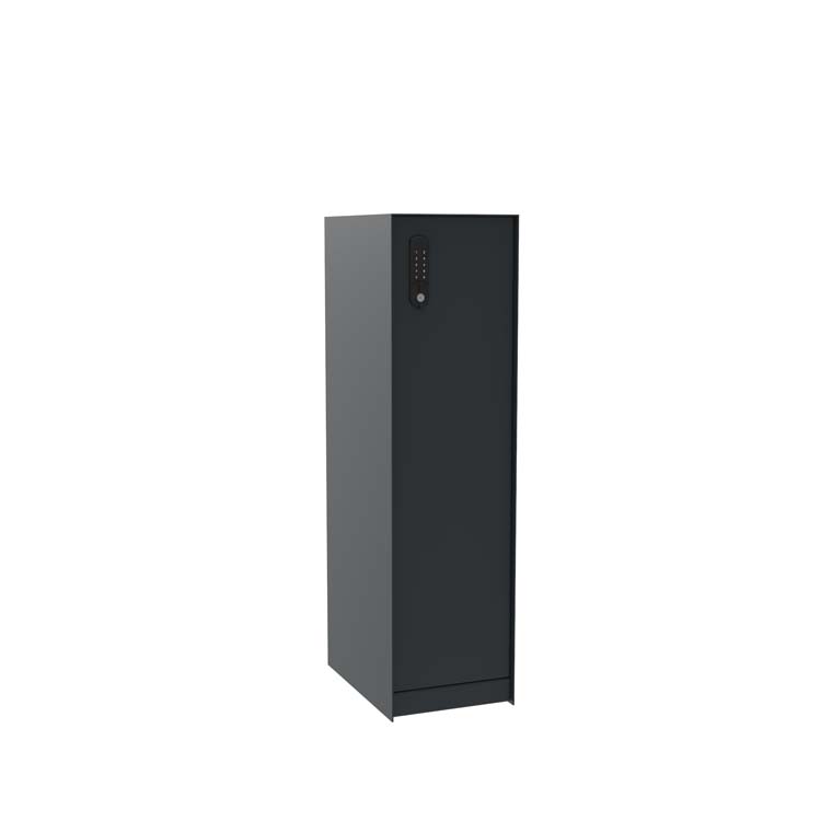 Pakketbrievenbus eSafe Nexus antraciet