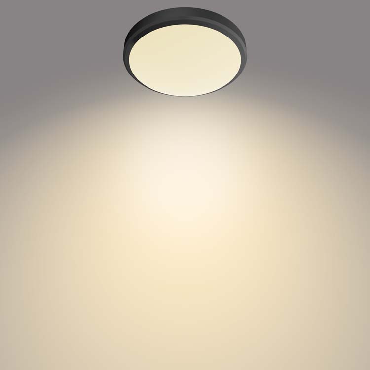 Plafondlamp Zwart 6W 2700K IP45