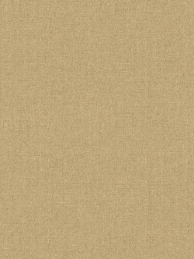 Vinyle sur papier peint intissé uni beige/or 0,53x10,05m