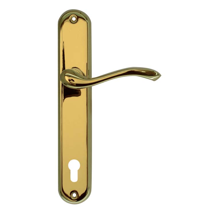 Poignée de porte alessandria titanium sur bouclier avec cylindre