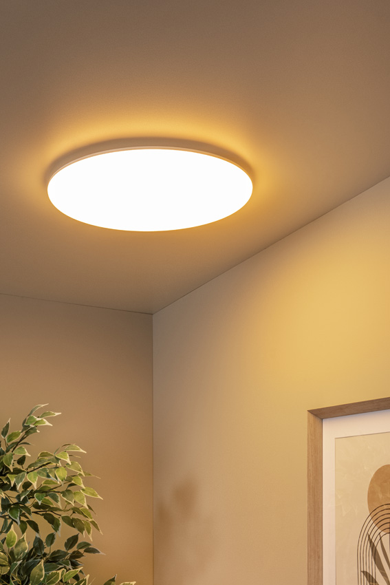 Plafonnier de salle de bains - Ø45cm - LED - CCT - 1x45W 3000K/6500K - IP44 - Opale