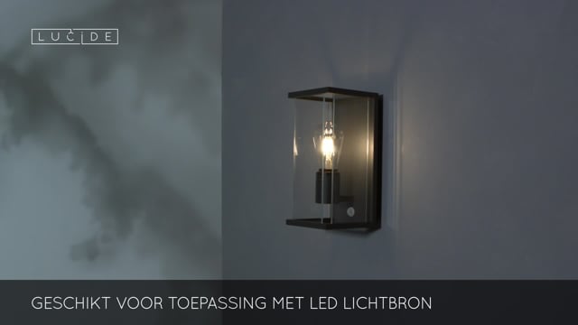 CLAIRE - Wandlamp Buiten LED - 1xE27 - IP54 - Antraciet CLAIRE - Wandlamp Buiten LED - 1xE27 - IP54 - Antraciet