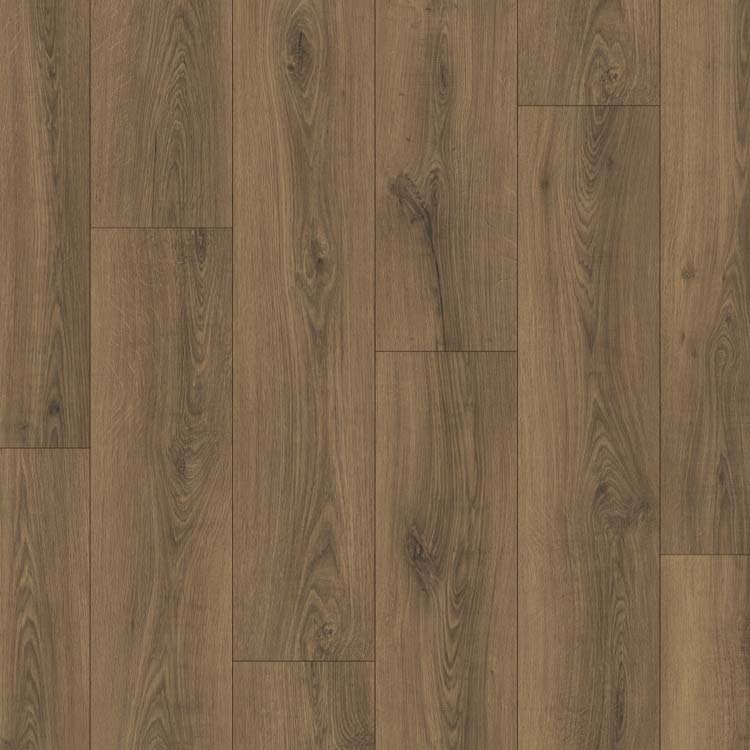 Stratifié Quick-Step Classic 8mm chêne brun chaud 120x19cm